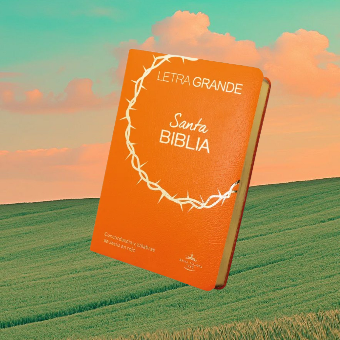 BIBLIA LETRA GRANDE CORONA