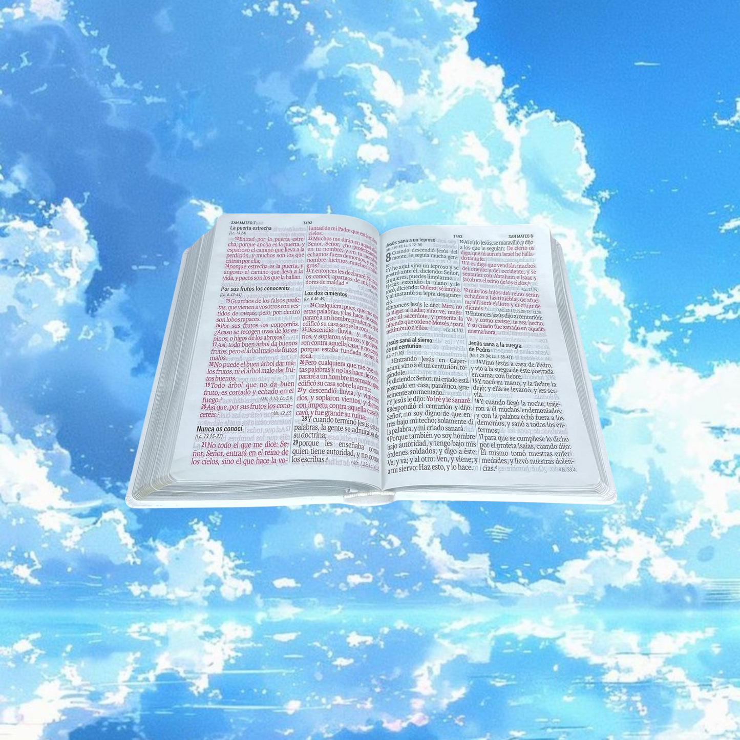 Biblia para Boda Letra Gigante