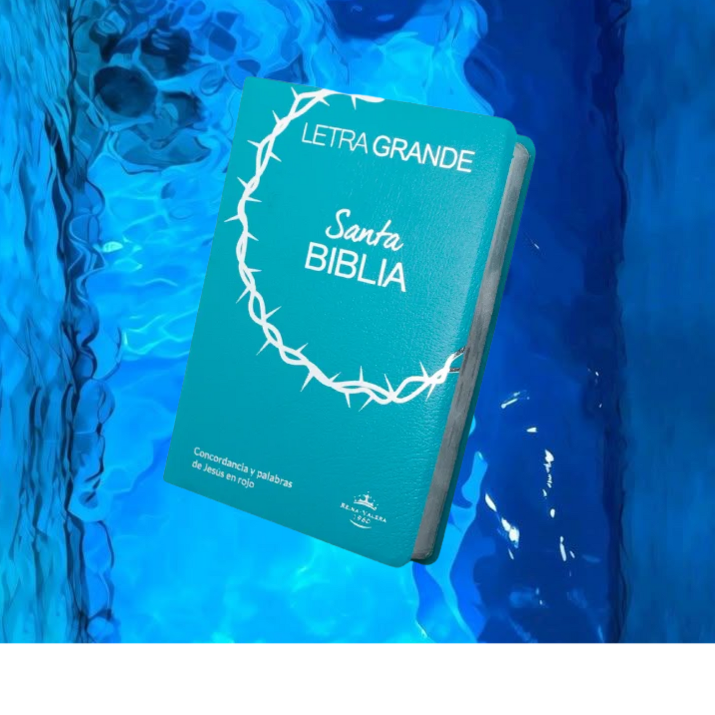 BIBLIA LETRA GRANDE CORONA