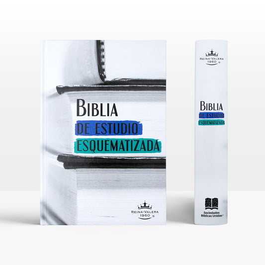 BIBLIA ESQUEMATIZADA
