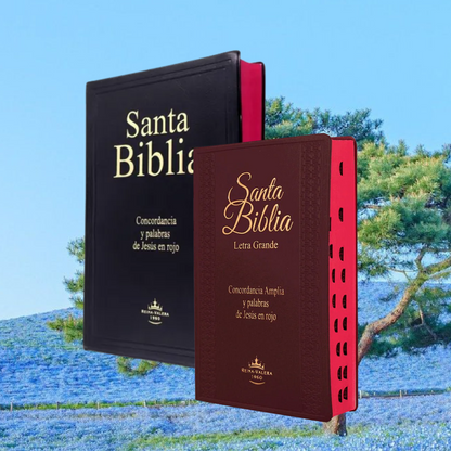 BIBLIA LETRA GRANDE CON ÍNDICE