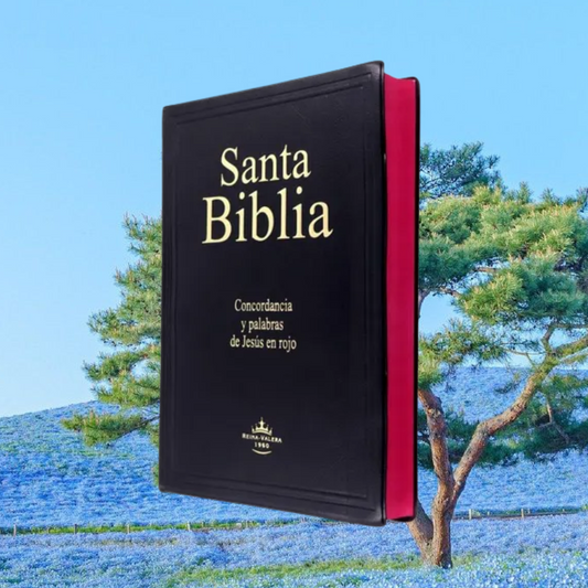 BIBLIA LETRA GRANDE CON ÍNDICE
