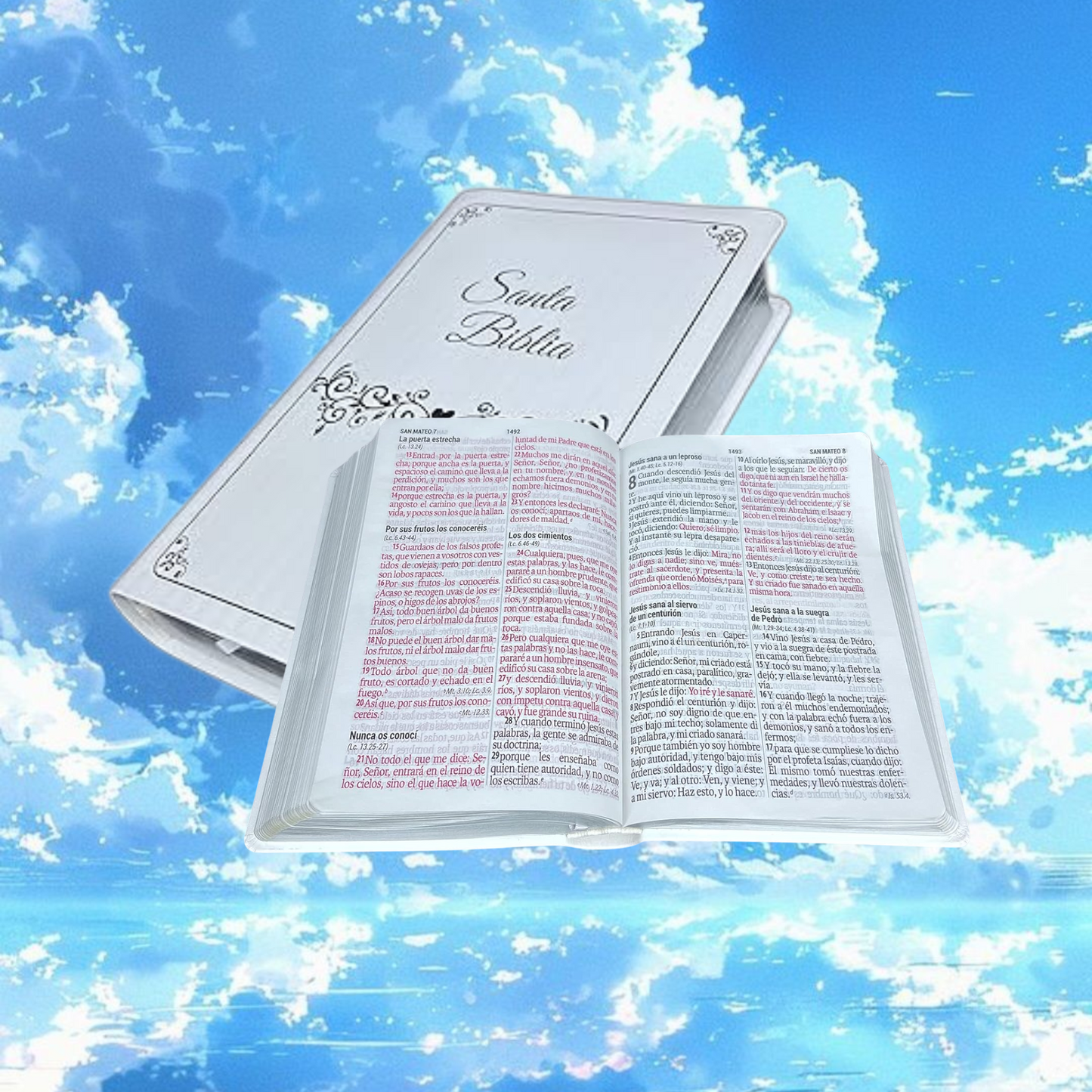 Biblia para Boda Letra Gigante
