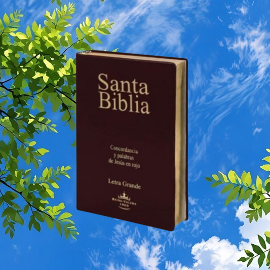 BIBLIA LETRA GRANDE - TAMAÑO 6
